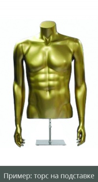 Торс мужской матовое золото CLTSM-A-957 рис. 1