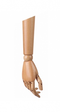 Пара деревянных рук WOODEN ARM-M-WD-CLEAR-MATT рис. 1