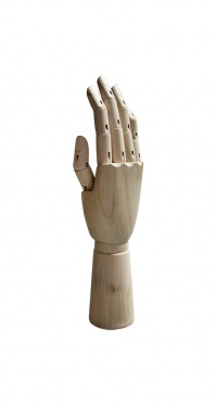 Рука (женская) деревянная шарнирная для перчаток и аксессуаров wooden hand female (right)-1 рис. 1
