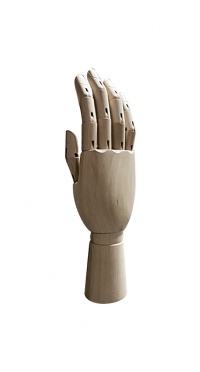 Рука (мужская) деревянная шарнирная для перчаток и аксессуаров wooden hand male (right)-1 рис. 1