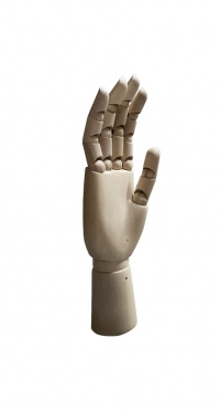 Рука (мужская) деревянная шарнирная для перчаток и аксессуаров wooden hand male (right)-1 рис. 1