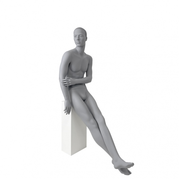 Манекен мужской CSM-8-HAN-SH-PANTONE COOL GRAY 8C рис. 1