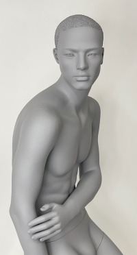 Манекен мужской CSM-8-HAN-SH-PANTONE COOL GRAY 8C рис. 1