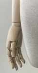 Торс женский VINF-54-N14-Long-WA with hooks (push connector) рис. 9