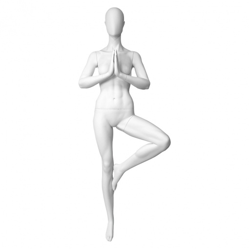 Манекен женский CFF-17-(with arms CFF-1Q) SASHA-9010 no grain рис. 1