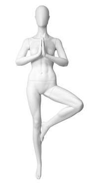 Манекен женский CFF-17-(with arms CFF-1Q) SASHA-9010 no grain рис. 1