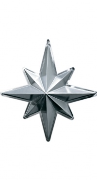 Серебряная звезда 9-002 Ø 50 см рис. 1