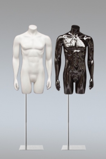 Коллекция мужских манекенов торсов System torso male