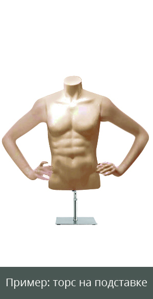 Торс мужской телесный на подставке b-ccm