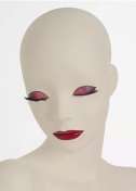 Gigi 421 сменный макияж Глаза-Розовое золото металлик Губы-RAL 3016 матовый