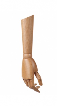 Манекен Пара деревянных рук WOODEN ARM-M-WD-CLEAR мужские рис. 1