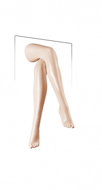Ноги женские XLEGS-L-R-421 рис. 1