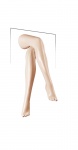 Ноги женские XLEGS-L-R-421 рис. 1
