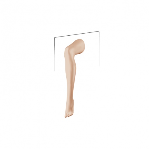 Нога женская для чулок X-LEGS-L-421 рис. 1