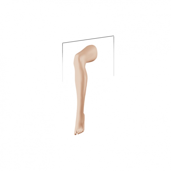 Нога женская для чулок X-LEGS-L-421 рис. 1