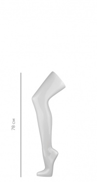 Манекен нога женская для чулок BHL-01 рис. 1