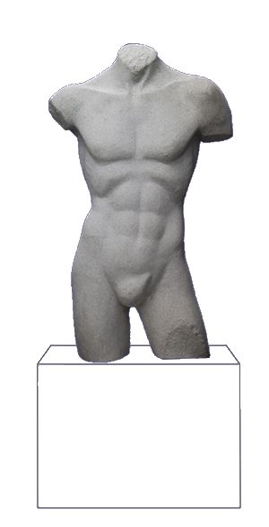 Торс мужской Torso dlv105-2