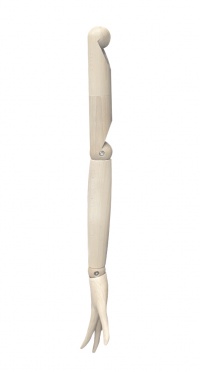 Торс женский с головой и руками TBF-03-ERIN-D015/SOLID LOTUS RAW (руки SOLID) рис. 1
