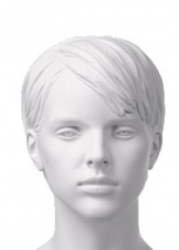 VENUS скульптурная прическа неокрашенная