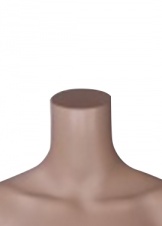 Без головы FT