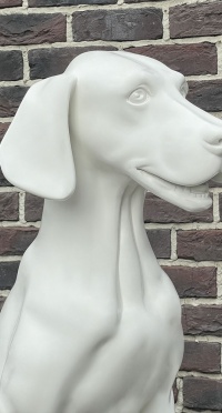 Собака матовый sitting dog_9010 рис. 1