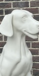 Собака матовый sitting dog_9010 рис. 7