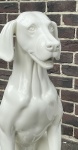 Собака глянец sitting_dog_9010S рис. 8