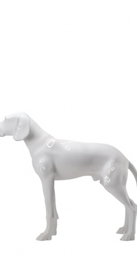 Манекен собака глянец standing-dog-9010S рис. 1