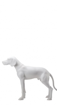Манекен собаки матовый standing-dog-9010 рис. 1
