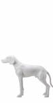 собаки матовый standing-dog-9010 рис. 1