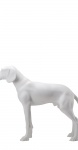 собаки матовый standing-dog-9010 рис. 2