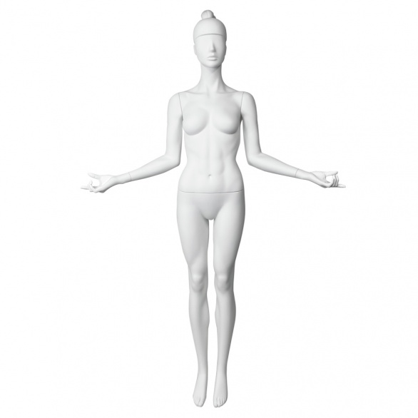 женский для спортивного магазина CFF-1K-ERIN-BRAIDS-9010 рис. 1