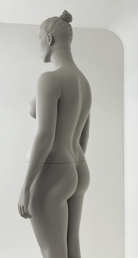 Манекен женский плюс сайз CFP-1A-DANY-PANTONE WARM GRAY 8C рис. 1