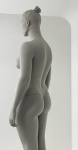 Манекен женский плюс сайз CFP-1A-DANY-PANTONE WARM GRAY 8C рис. 9