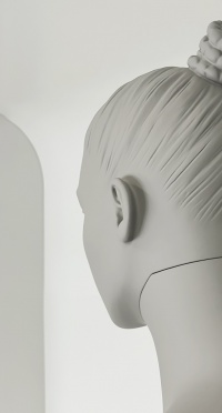 Манекен женский плюс сайз CFP-1A-DANY-PANTONE WARM GRAY 8C рис. 1