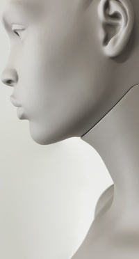 Манекен женский плюс сайз CFP-1A-DANY-PANTONE WARM GRAY 8C рис. 1