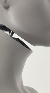 Манекен женский плюс сайз CFP-1A-DANY-PANTONE WARM GRAY 8C рис. 1