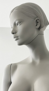 Манекен женский SEF-05-YUMI-H-PANTONE WARM GRAY 8C рис. 1