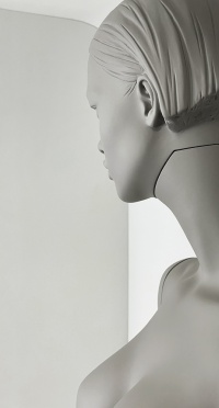 Манекен женский SEF-05-YUMI-H-PANTONE WARM GRAY 8C рис. 1