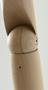 Манекен женский PGF-1MWT-RING-BRP-015BRN+PPR.KRF.BGT+BRP-288BRN+P.877-ALU рис. 1