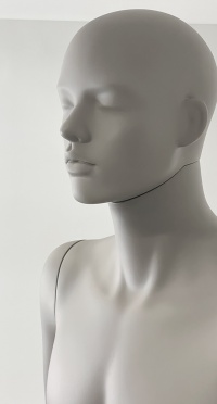 Манекен мужской SEM-05-TAY-A-PANTONE WARM GRAY 8C рис. 1
