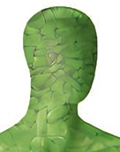 DROP green