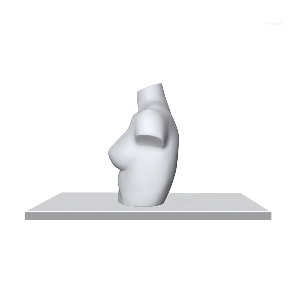 Женский бюст Female bust-3-matt 9010 Ral