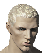 Max Scandic