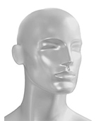 SID 081