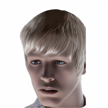 Парик для мужского манекена KEN CM-1 WIG/#613