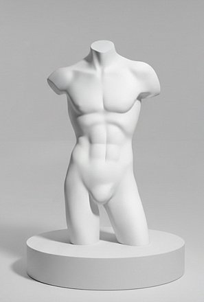 Мужские торсы Torso Male