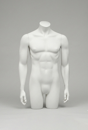 Мужские торсы System torso male