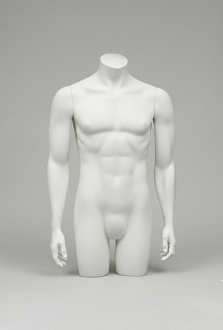 Мужские торсы System torso male