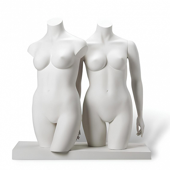 Женские торсы XL Torsos Female